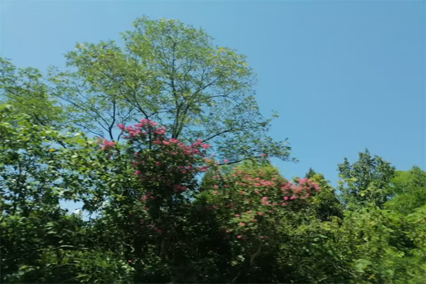当当云阅读银铃铛怎么用（当当的银铃铛怎么换抵用券）