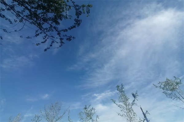 看望长辈带什么礼物好（看望长辈送礼送什么好）