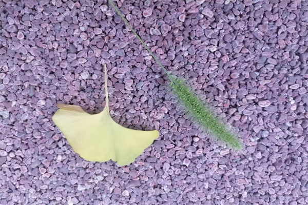 手动挡可以跳挡吗（手动档位可以随意切换吗）