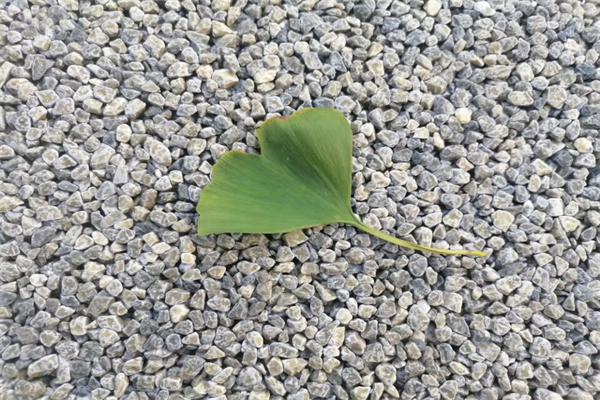 钉钉软件如何更新版本（钉钉软件如何更新?）