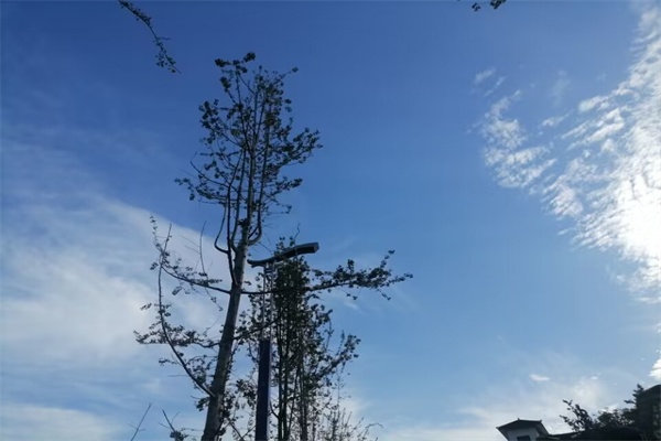 厕所下水道堵塞怎么疏通