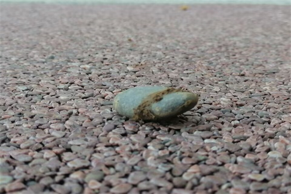 数一和数二的区别难度（数一和数二哪个容易考高分）
