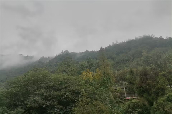 靠背电动车怎么装尾箱（电动车背靠怎么安装）